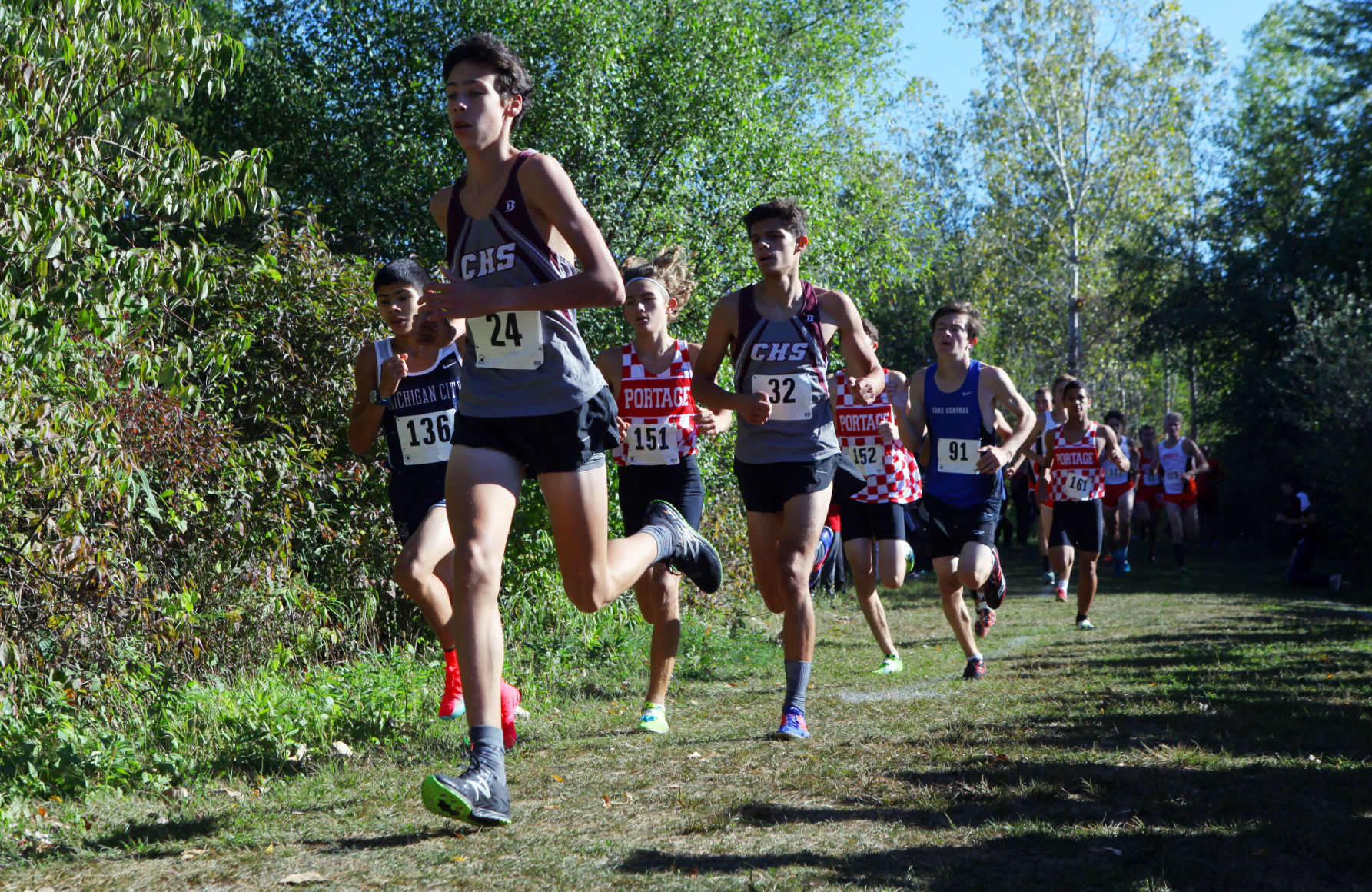 Gallery: Duneland Athletic Conference cross country meet